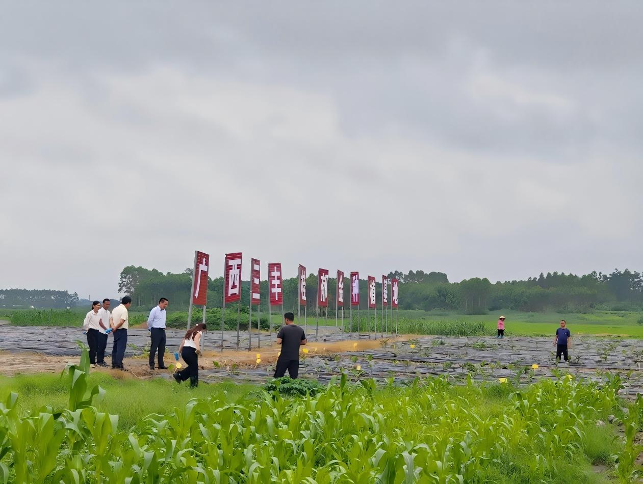 極弘堂藥業(yè)集團董事長何必鋒帶隊赴廣西省賓陽縣考察交流，共探健康產(chǎn)業(yè)新機遇